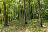 Lot 29 Bullbriar Drive - Photo 13