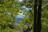 Lot 29 Bullbriar Drive - Photo 9