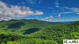 Lot 55 Pilot Mountain - Photo 1