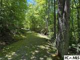 Lot 55 Pilot Mountain - Photo 6