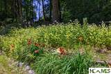 343 Round Hill Road - Photo 44