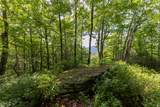 14 W Whitetail Drive - Photo 11