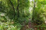 14 W Whitetail Drive - Photo 13