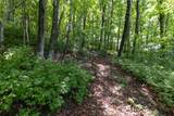14 W Whitetail Drive - Photo 15