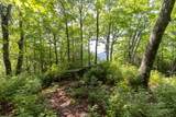 14 W Whitetail Drive - Photo 9