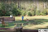 46DR Winding Creek Road - Photo 43