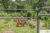 162 Twin Lakes Drive - Photo 87