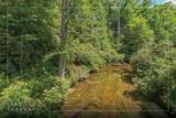 230 Tangleroot Road - Photo 5
