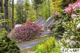 1955 Dillard Road - Photo 40