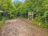 Lot 42 Panthertown Drive - Photo 11