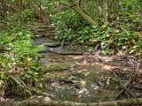 Lot 42 Panthertown Drive - Photo 15