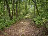 Lot 42 Panthertown Drive - Photo 3