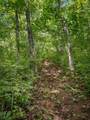 Lot 42 Panthertown Drive - Photo 7