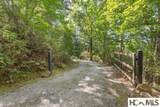 597 Chinquapin Mountain Road - Photo 10