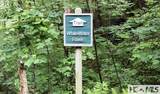 PH1 L4 Whitewater Ridge Road - Photo 11