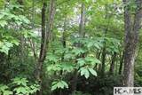PH1 L4 Whitewater Ridge Road - Photo 2