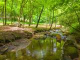 231 Cedar Creek Farm Road - Photo 3
