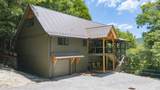 55 Dolly Lane - Photo 1