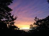 130 Cross Vine Drive - Photo 49