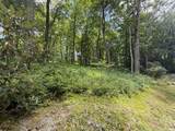 Lot 9 Apple Mountain Lane - Photo 4