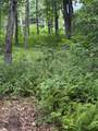 Lot 9 Apple Mountain Lane - Photo 8