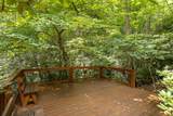 51 Evergreen Drive - Photo 41
