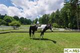 177 Forest Trail - Photo 66