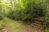 105 Crippled Oak Trail - Photo 13