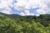 105 Crippled Oak Trail - Photo 23