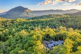 142 Brook Trout Trail - Photo 41