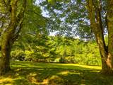 7219 Dillard Road - Photo 45