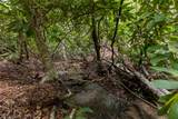 TBD Aimless Hill Road - Photo 20