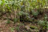 TBD Aimless Hill Road - Photo 21