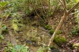 TBD Aimless Hill Road - Photo 23