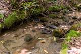 TBD Aimless Hill Road - Photo 24