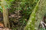 TBD Aimless Hill Road - Photo 29
