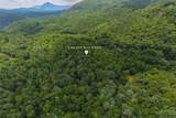 TBD Aimless Hill Road - Photo 42