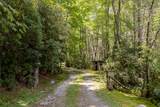 TBD Aimless Hill Road - Photo 6