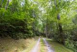 TBD Aimless Hill Road - Photo 8