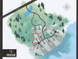 6 Lone Panther Ridge - Photo 3