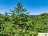 Lot 4 Big Bear Pen Road - Photo 5
