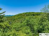 Lot 4 Big Bear Pen Road - Photo 6