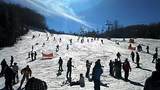 203 Star Dance Ridge - Photo 45