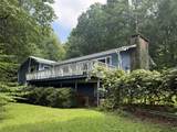 1281 Panther Mountain Road - Photo 4