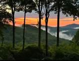 1281 Panther Mountain Road - Photo 8