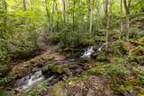 343 Bear Track Drive - Photo 47