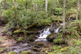 343 Bear Track Drive - Photo 48