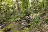343 Bear Track Drive - Photo 49