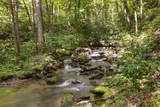 343 Bear Track Drive - Photo 50
