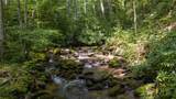 343 Bear Track Drive - Photo 52